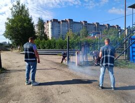 Порядка 40 000 квадратных метров земли освободили от незаконных стоянок в Петербурге