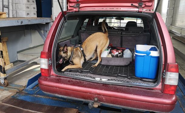 Служебная собака помогла пресечь попытку контрабанды табачной продукции на Выборгской таможне