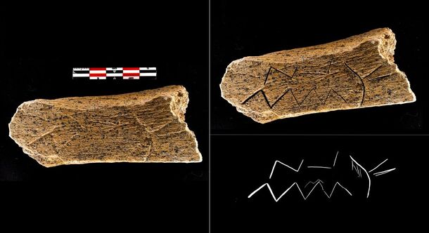 Древние «настолки», искусство неандертальцев и руины Охтинского мыса: петербургские археологи подвели итоги сезона