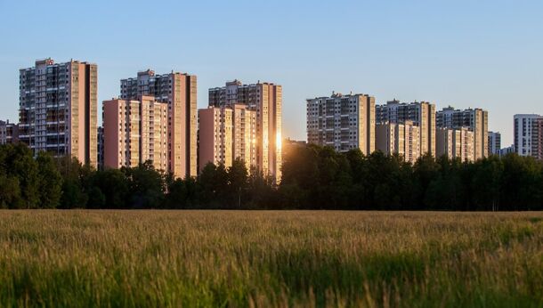 Власти Ленобласти планируют создать новый жилой кластер на границе с Петербургом