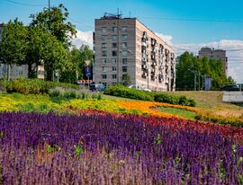 Благоустройство под ключ: объекты городской среды Петербурга будут сдавать с пятилетней гарантией