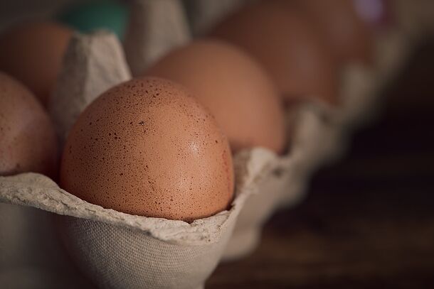 Прокуратура проверит рост цен на куриные яйца