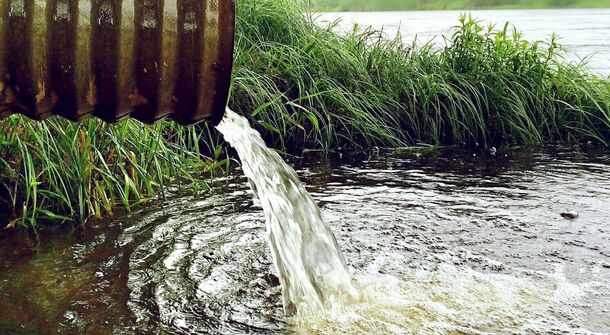 Уровень очистки сточных вод Петербурга достиг почти 100%