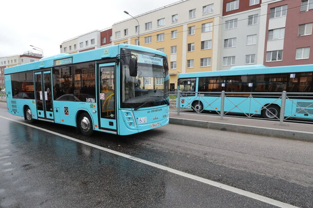 Эксплуатацию 137 автобусов МАЗ приостанавливают на маршрутах Петербурга