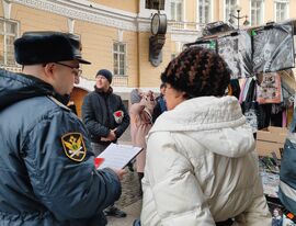 Приставы «поймали» петербурженку за нелегальной торговлей на Дворцовой площади