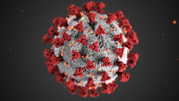 В России выявили 10 случаев инфицирования вариантом коронавируса «пирола»