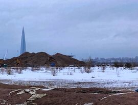 СК РФ возбудил уголовное дело по факту строительства намыва на Васильевском острове