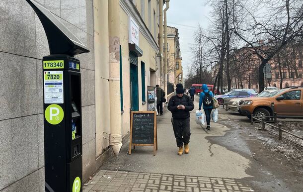 Для петербургского бизнеса предлагают предусмотреть льготы в зоне платной парковки