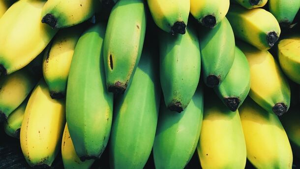 Поставки бананов в РФ выросли на 10%