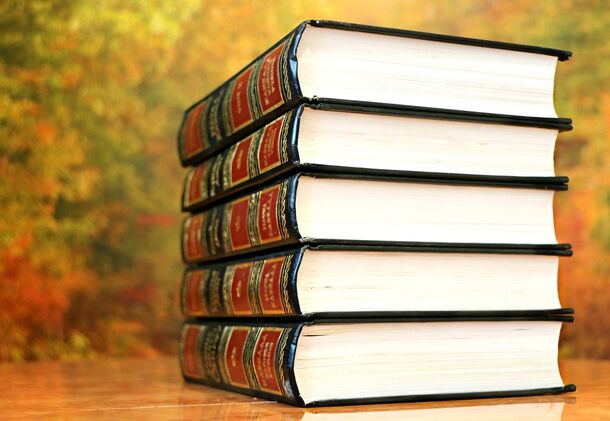 ФАС возбудила дело в отношении «Просвещения» из-за высоких цен на учебники