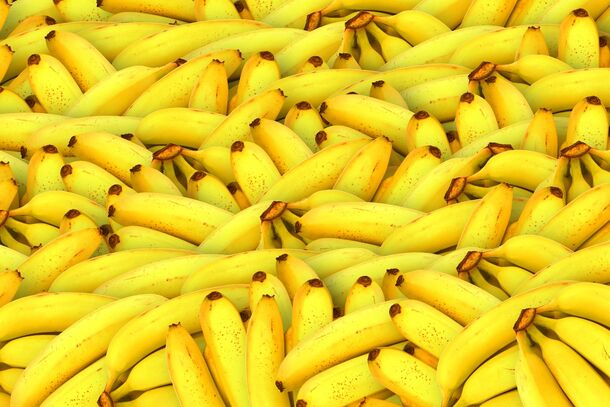 Бананы от пяти экспортеров из Эквадора вновь допустят к ввозу в Россию