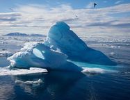 Проблемы Арктики, о которых принято молчать