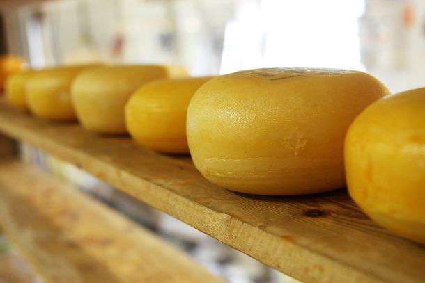 Поставки дешевого сыра из Белоруссии могут подорвать отечественный рынок