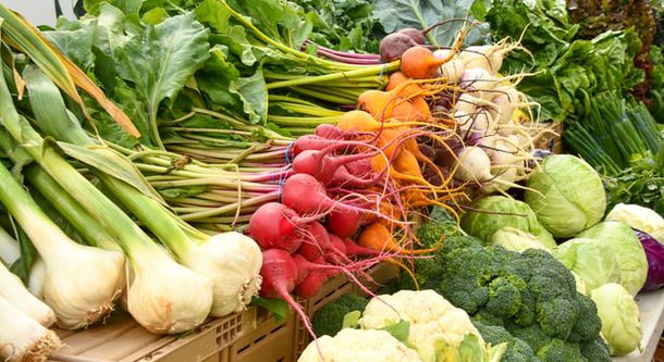 Минсельхоз ищет способы снизить цены на овощи