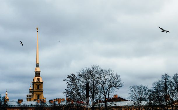 ГУ МЧС Петербурга предупредило об усилении ветра и гололедице 12 февраля