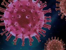 В России выявили более 116 тыс. новых случаев коронавируса