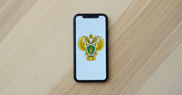 Подрядчик из Петербурга разработает приложение для Генпрокуратуры РФ за 10,5 млн рублей