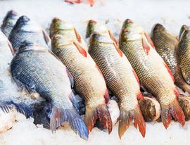 Эксперты оценили шансы на успех инициативы Минпромторга по созданию рыбных ярмарок