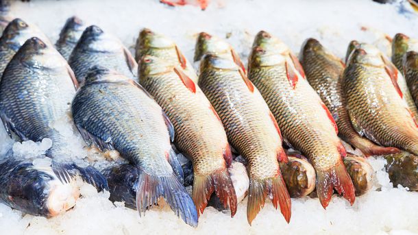 Эксперты оценили шансы на успех инициативы Минпромторга по созданию рыбных ярмарок