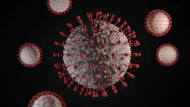 Первый случай заражения подвариантом омикрон-штамма коронавируса «кракен» выявлен в России