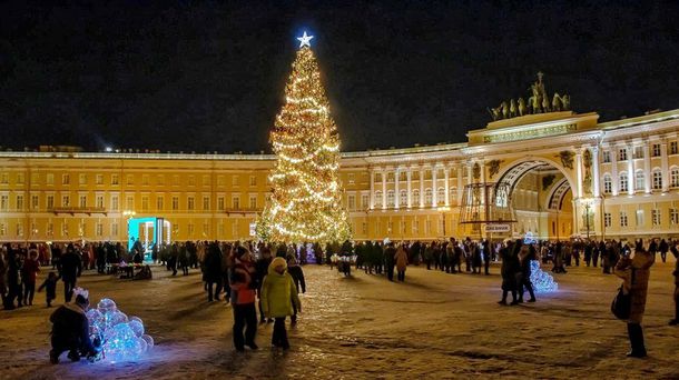 Главную новогоднюю ёлку Петербурга привезут из Приозерского района