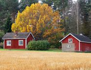 Власти Финляндии ужесточили правила покупки земельных участков нерезидентами-ЕС