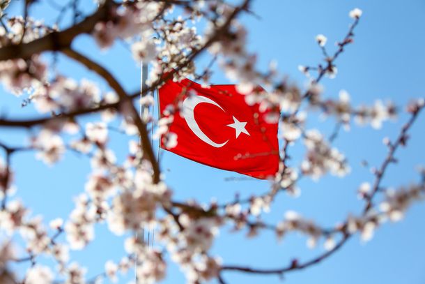 Мерсин - неочевидная инвестиция в турецкую недвижимость