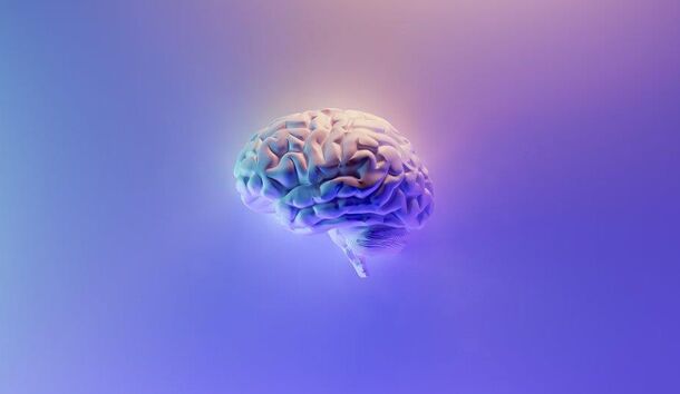 О мозге — самом загадочном и малоизвестном науке органе