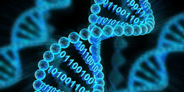 Учёные взломали компьютер с помощью ДНК человека