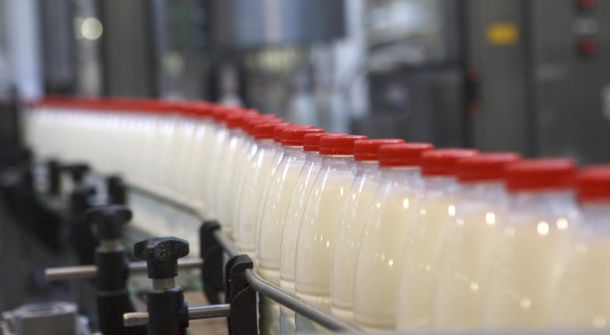 Властям Ленобласти не грозят санкции Минсельхоза, который решил обязать все регионы, допустившие снижение производства молока, восстановить спад до конца года