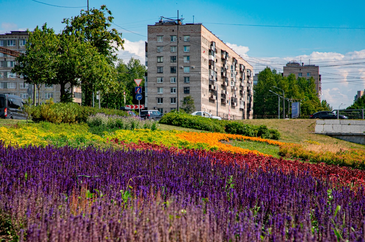 Благоустройство санкт петербург