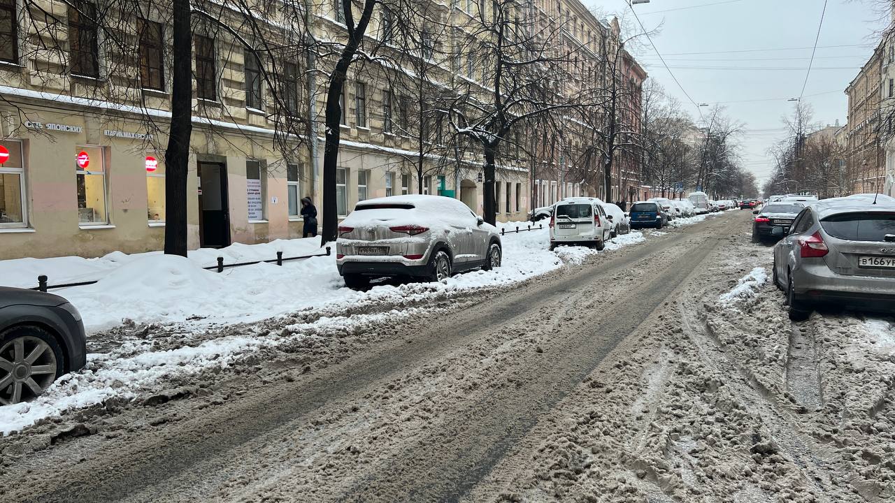 Платная парковка раздора на Васильевском острове — почему жители СПб  судятся из-за зоны платной парковки