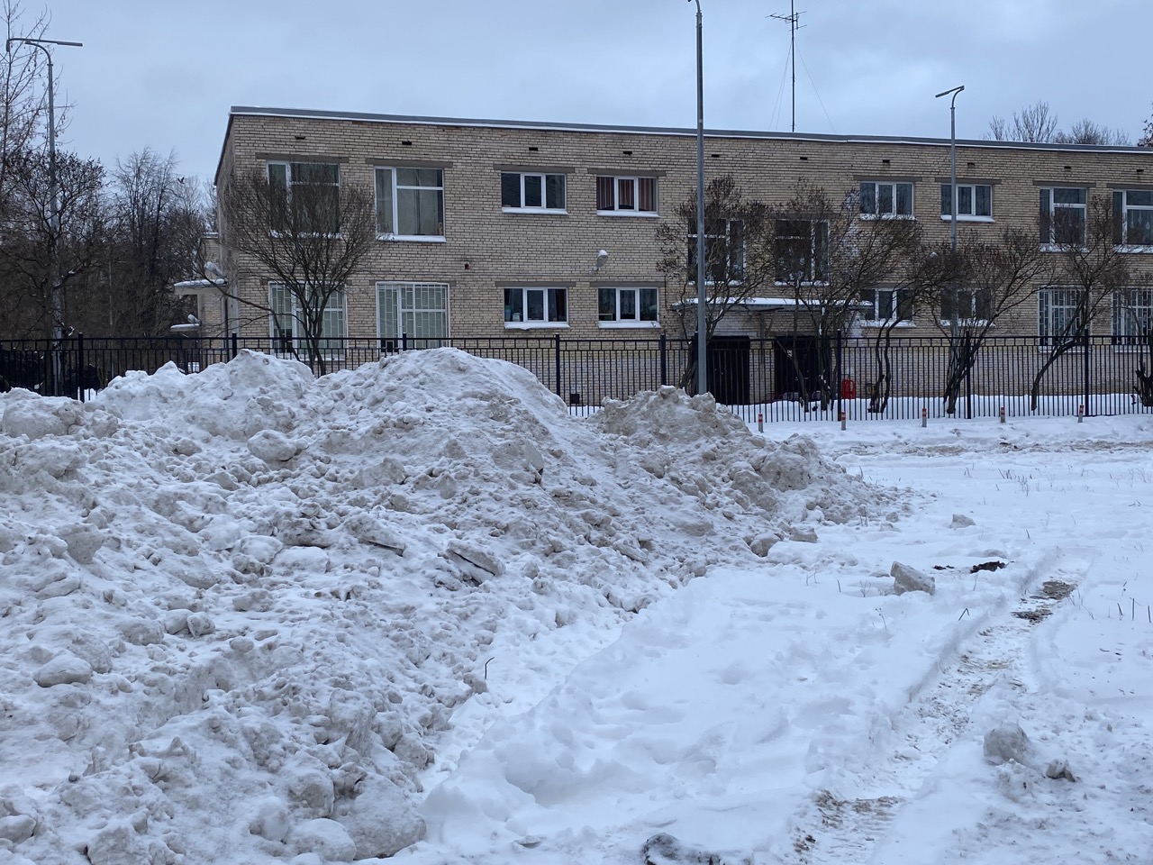 СК завел уже несколько уголовных дел из-за неубранных дорог и тротуаров в Петербурге