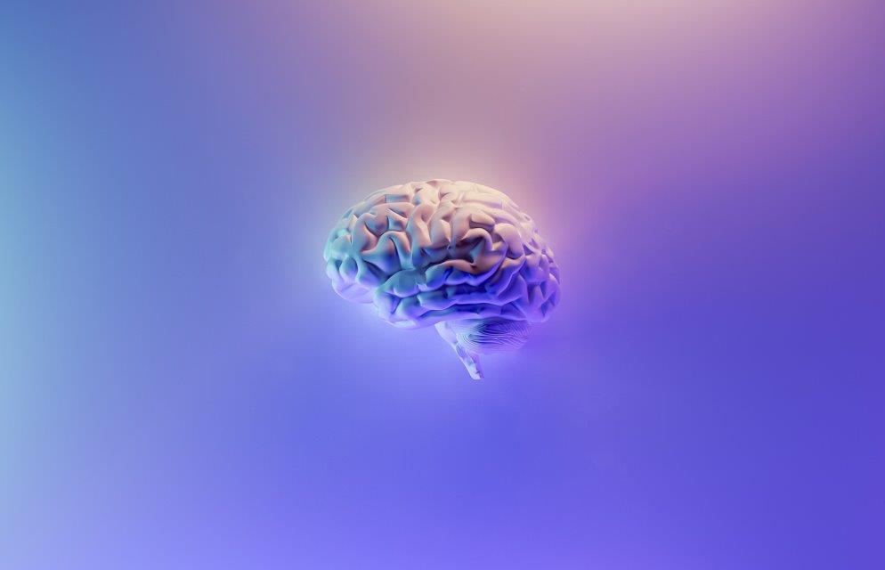 О мозге — самом загадочном и малоизвестном науке органе