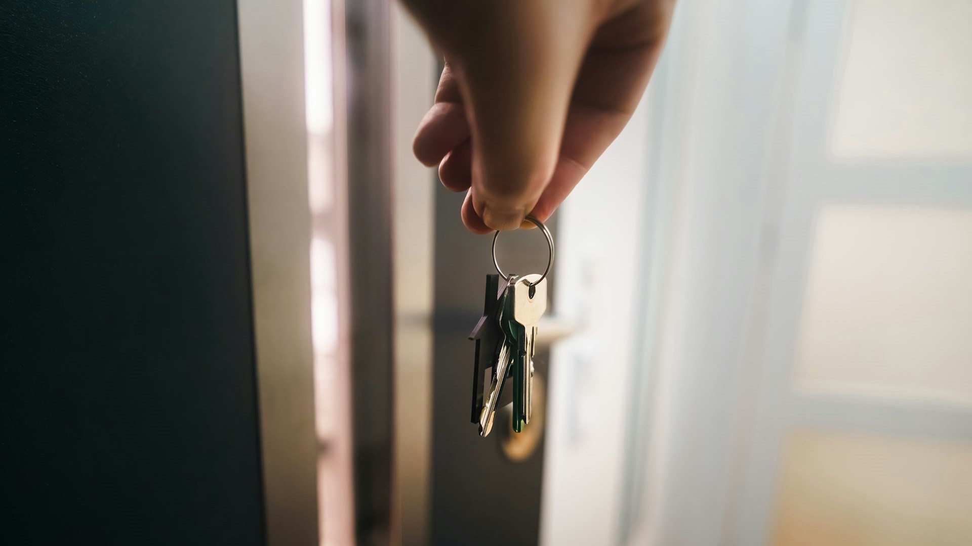 Квартиры в новостройках Петербурга интересуют 30% покупателей из регионов