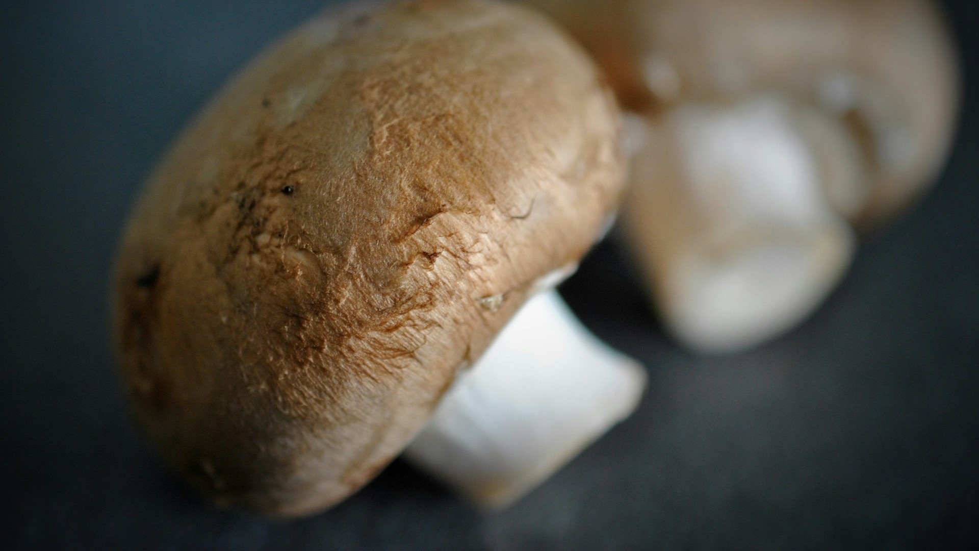 Россия обновила рекорд по экспорту шампиньонов в 2025 году