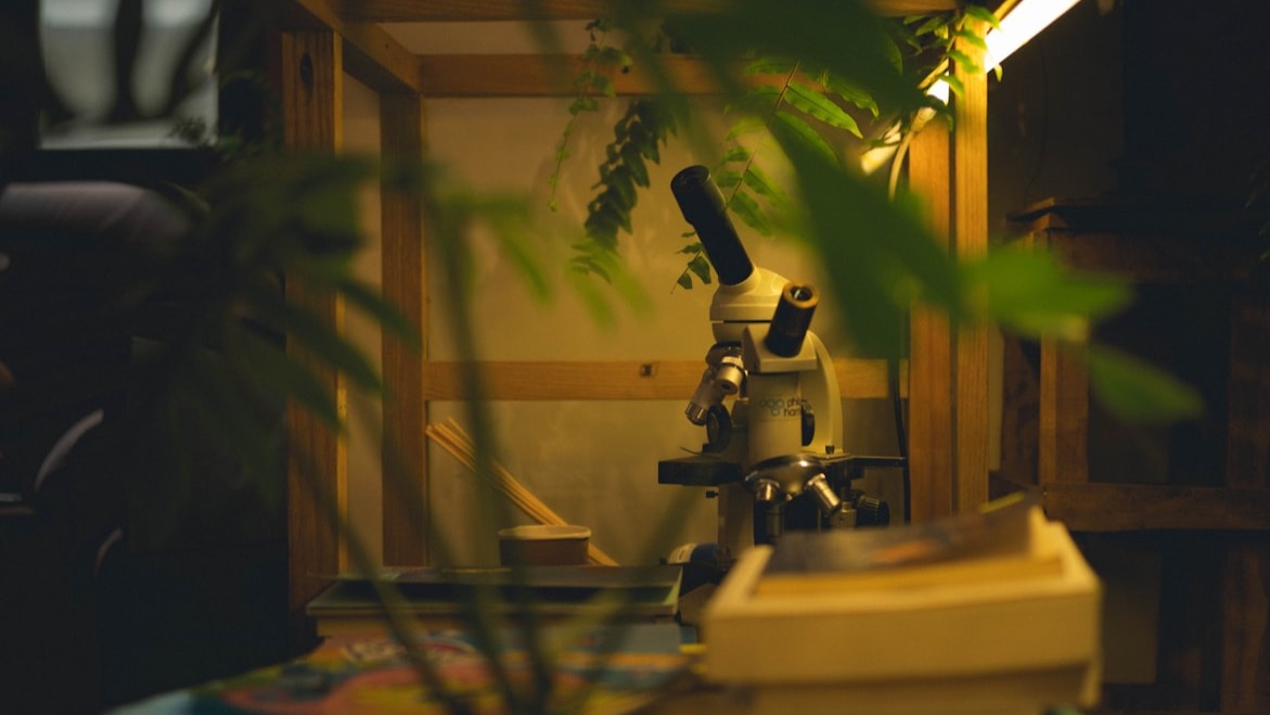 В Ленобласти предложили создать единую с Петербургом систему экомониторинга