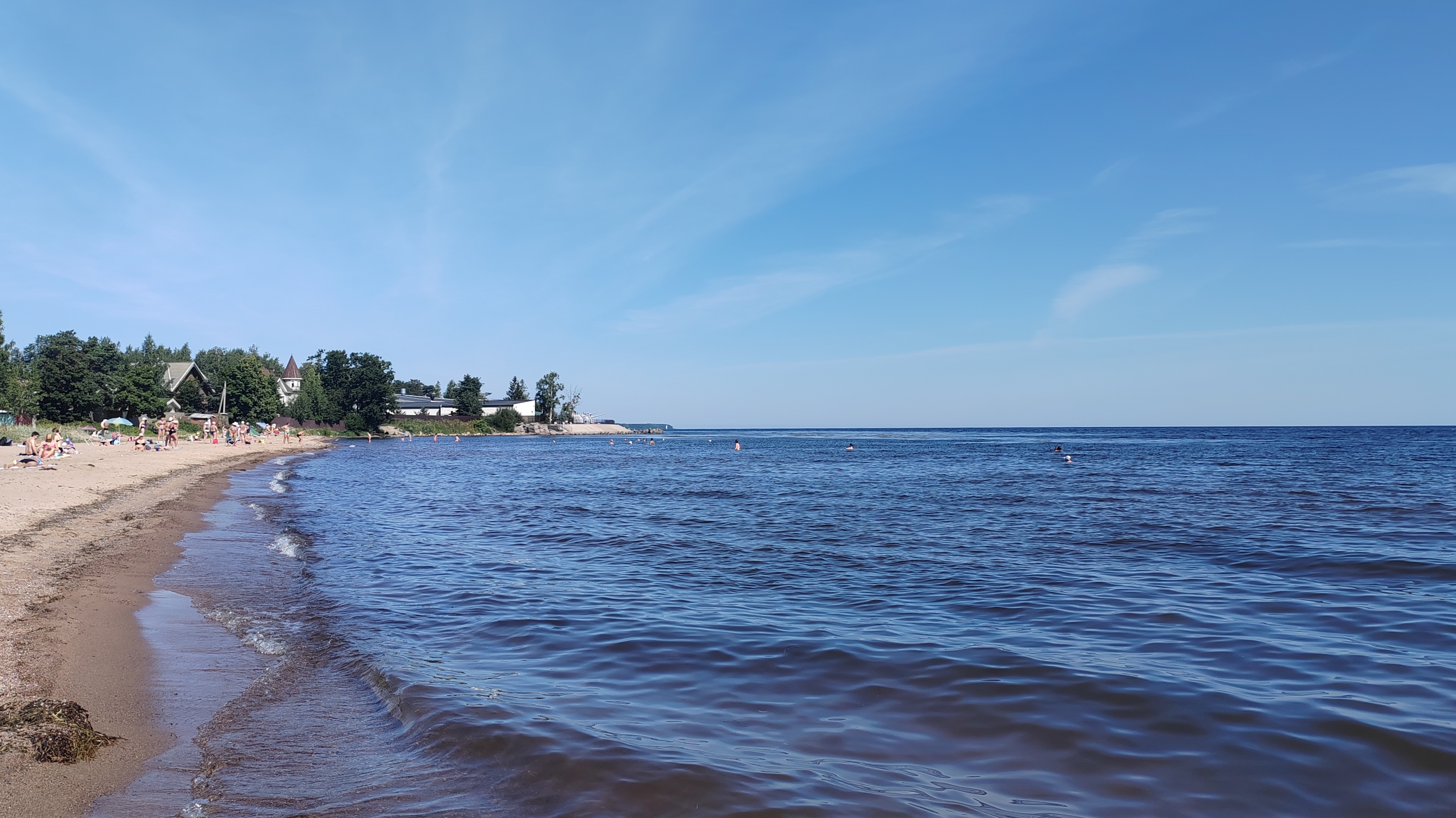 В Ладожском озере выявили опасный уровень тяжелых металлов с помощью печени рыб