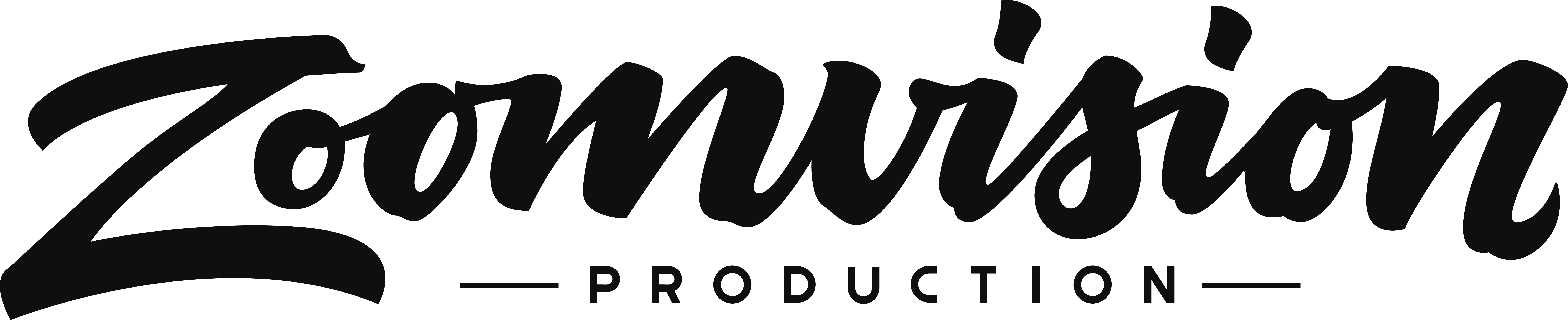 https://www.zoomvision.ru/