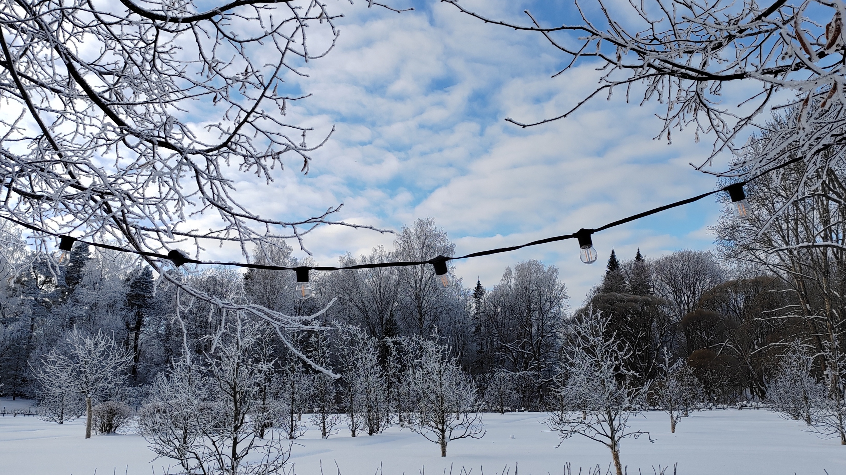 В Петербург придет похолодание с 11 февраля
