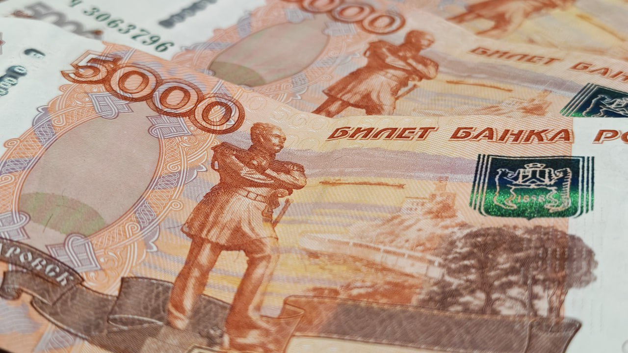 Use the News: бюджет Петербурга, новый ОКВЭД, ситуация с логистами, рост НДС