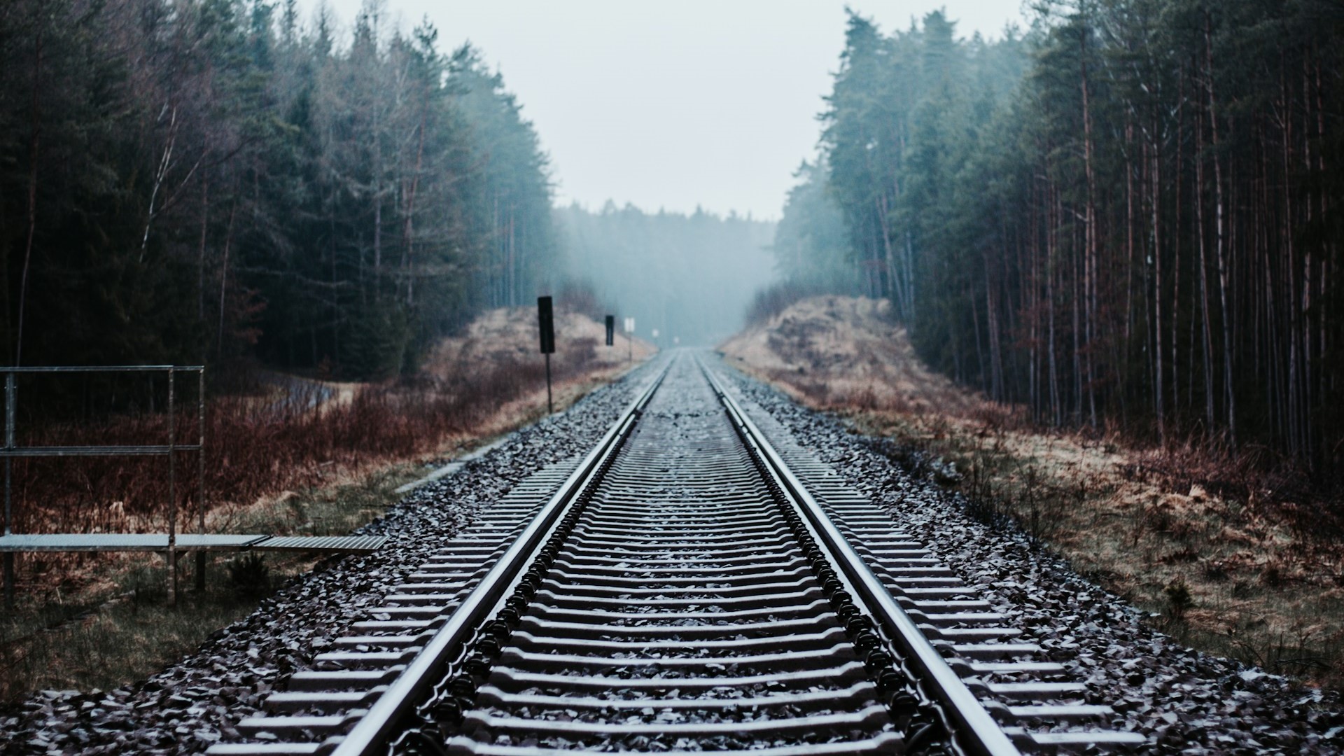 РЖД планируют построить еще четыре направления ВСМ