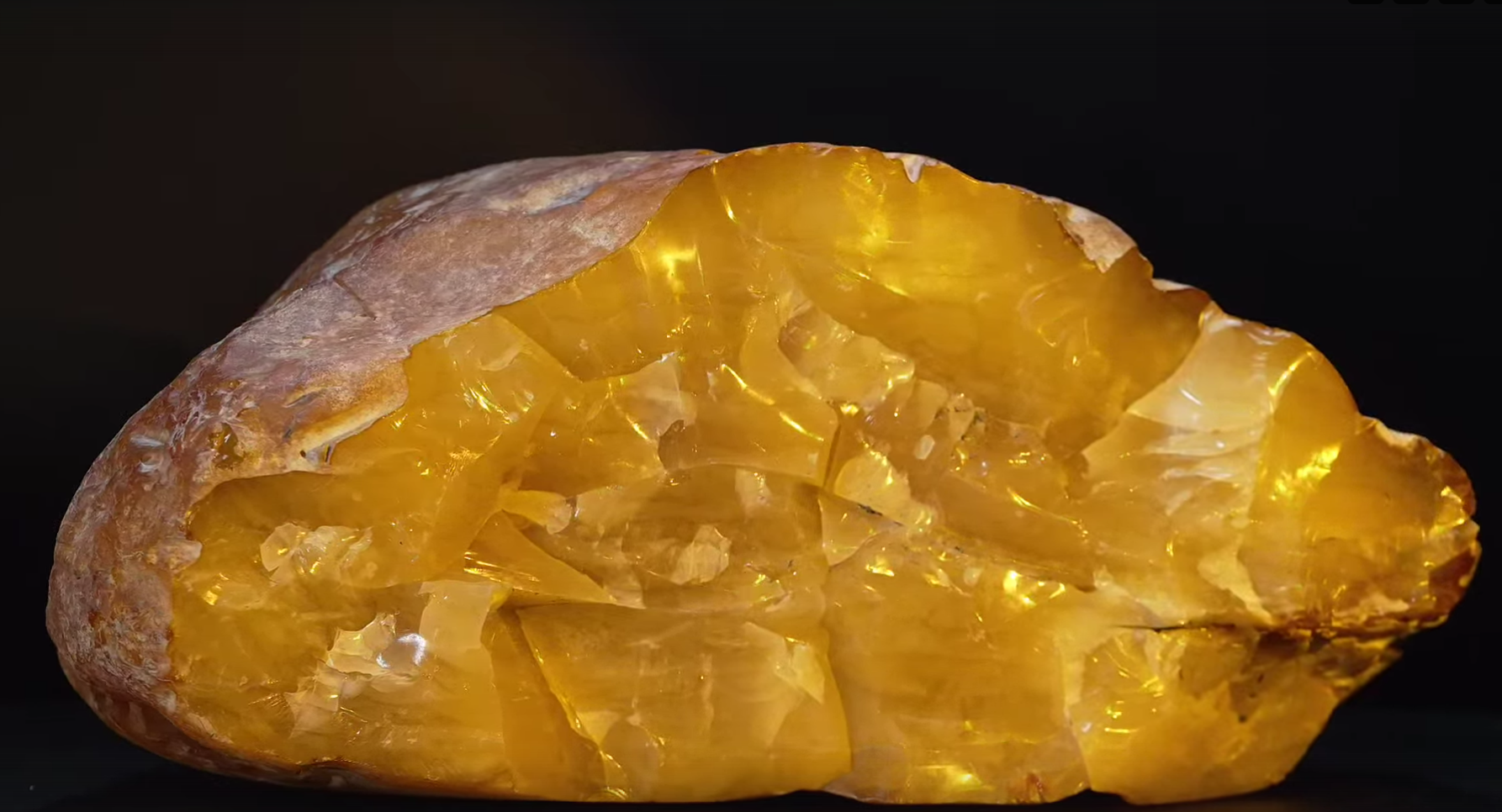 Янтарь весом почти 2,5 кг добыли в Калининграде