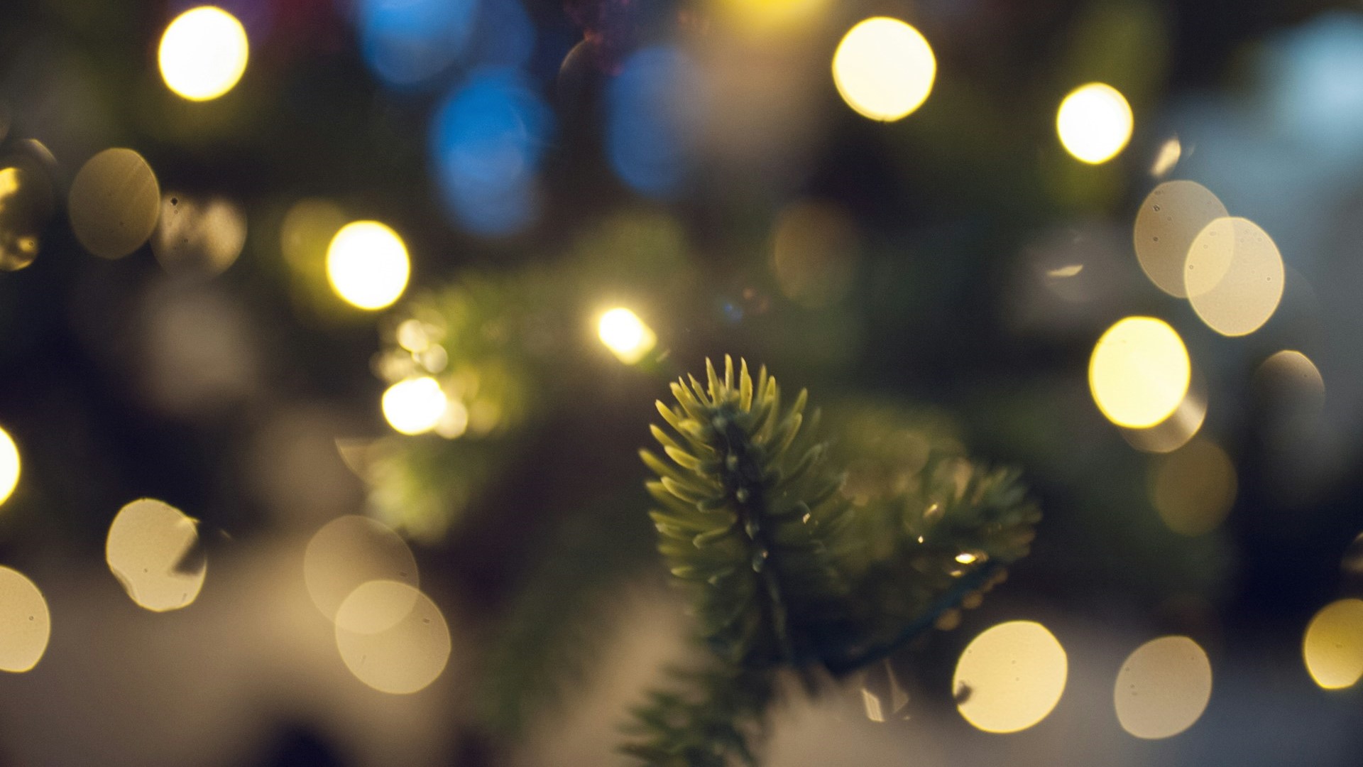 В Петербурге выпустили правила новогоднего оформления витрин