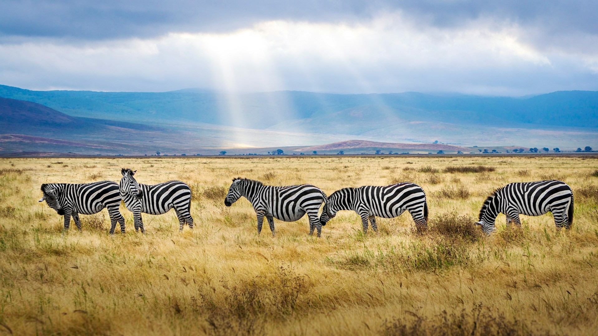 Новые горизонты: легендарный остров в Черногории и путешествие в Дагестан