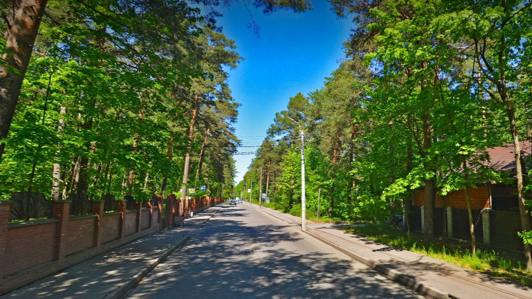 Улица Григорьева в Сестрорецке