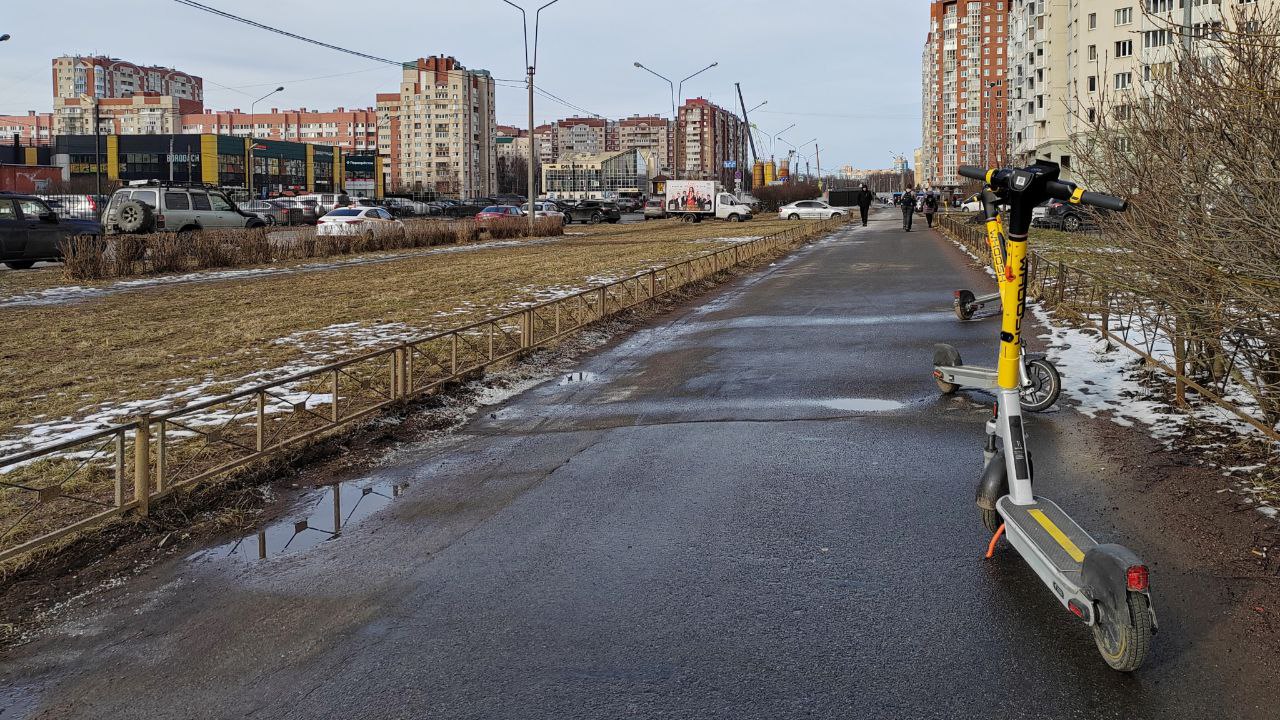 Эксперт: больше всего нарушений совершают не арендаторы, а владельцы СИМ