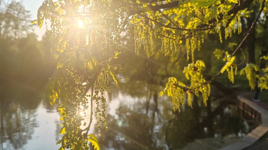 В Смольном планируют защищать экологию города совместно с Минприроды и РСПП