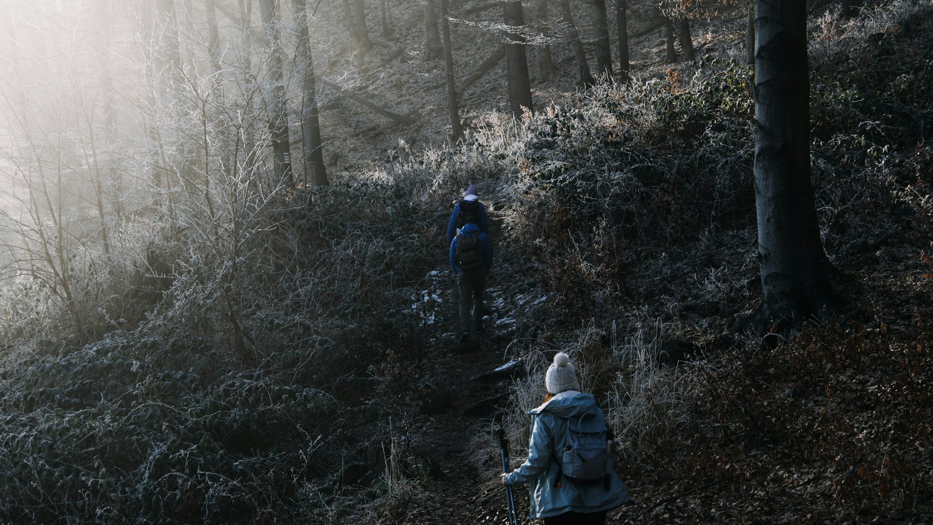 Каждый шестая заявка о пропаже людей в Петербурге касается ребенка