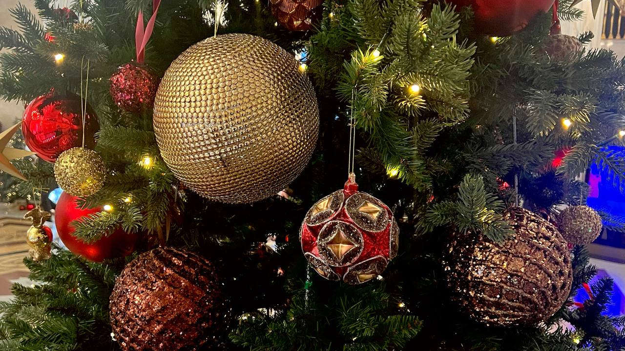 Россияне почти втрое снизили траты на новогодние елки